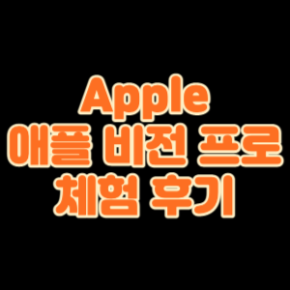 apple01