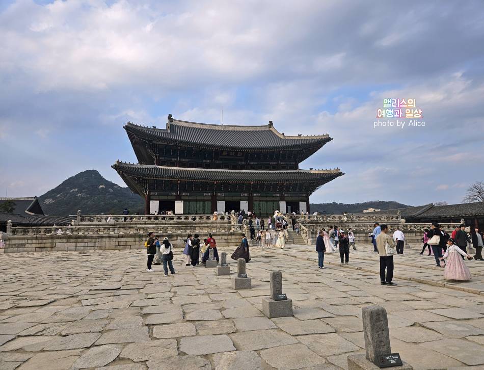 서울 벚꽃 명소 나들이 추천 경복궁&#44; 덕수궁 4월 개화 상황 서울 가볼만한곳