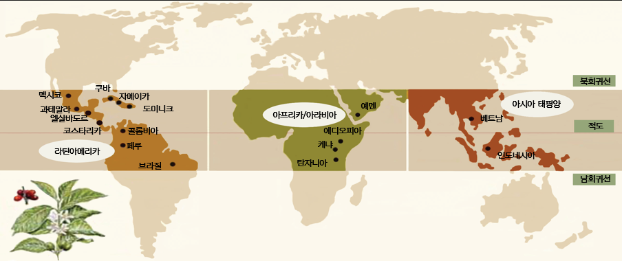  커피 생산 구역, 커피 벨트 (Coffee Belt)에 대하여 알아보자.