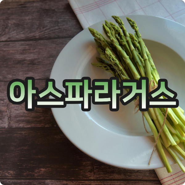  아스파라거스 효능과 부작용 바로 알기!