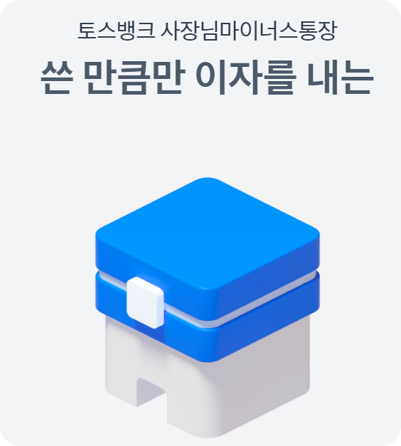 토스뱅크 사장님 마이너스 통장