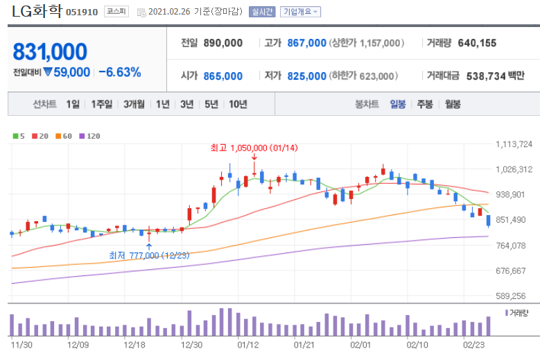  2차전지 대장주 LG화학 조정 시간이 필요