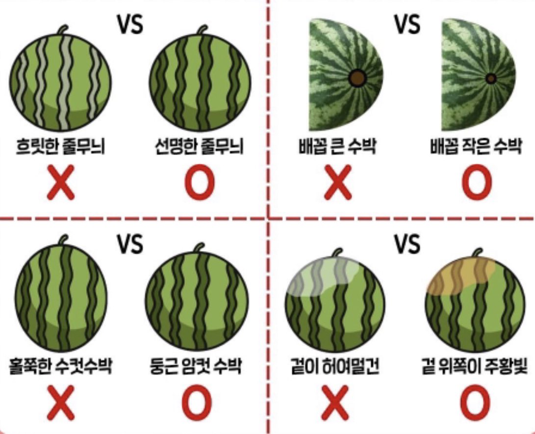 수박 복숭아 자두 포도 참외 좋은 과일 고르는법