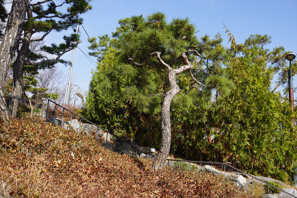 230314 동만봉 3 126