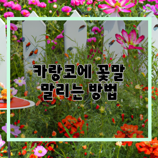  꽃을 지키는 법 - 카랑코 꽃말과 관련된 방법들