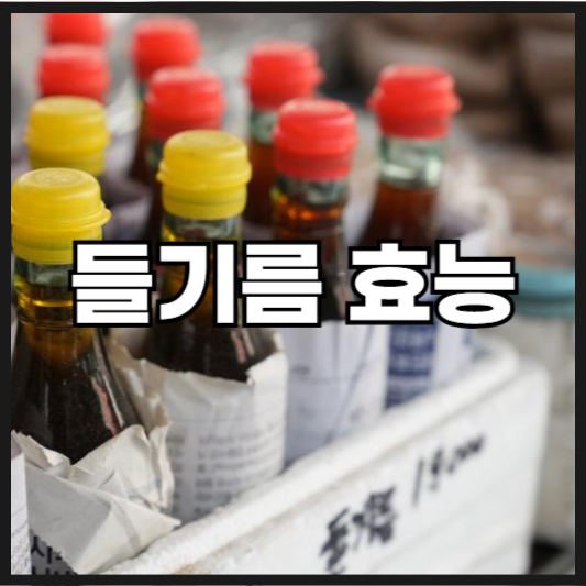 들기름 효능