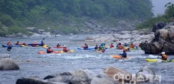 출렁이는 숲의 전설 미스터리_10