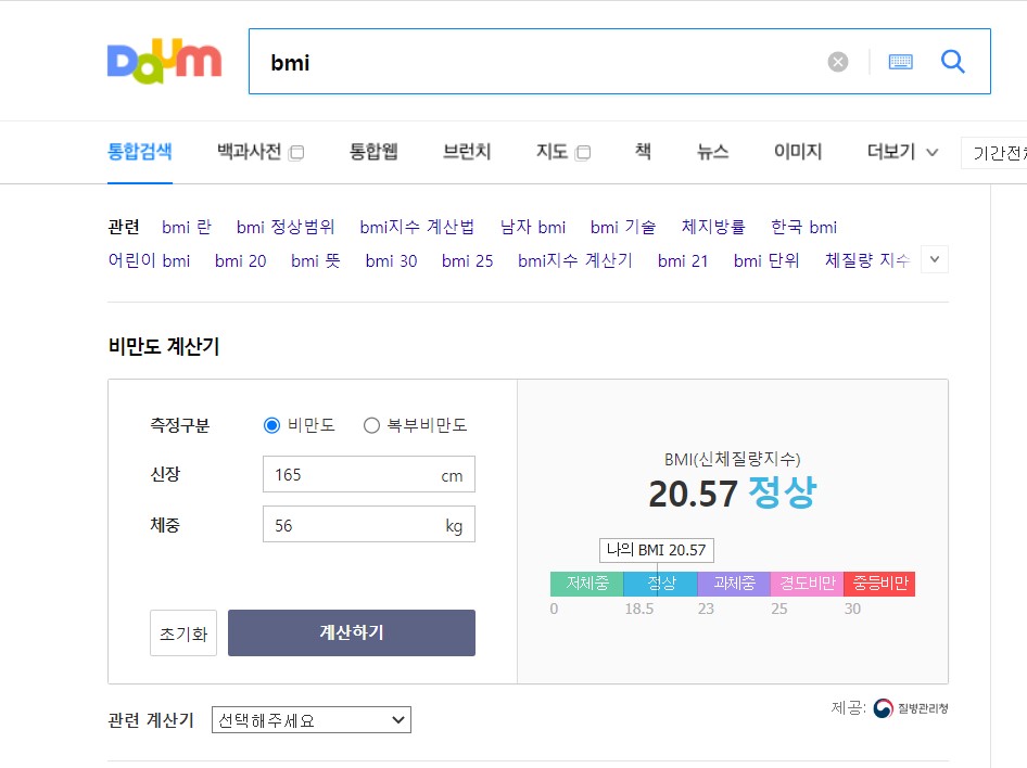 BMI 비만도 계산기 다음검색엔진 화면