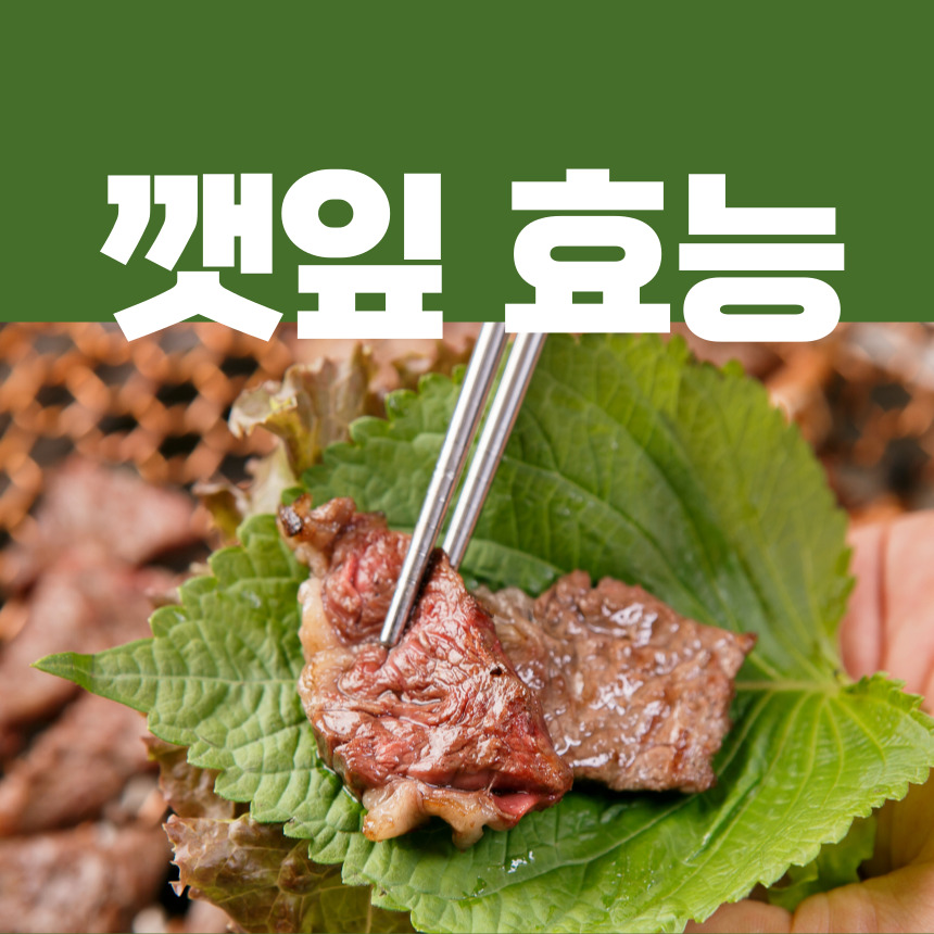 깻잎 효능