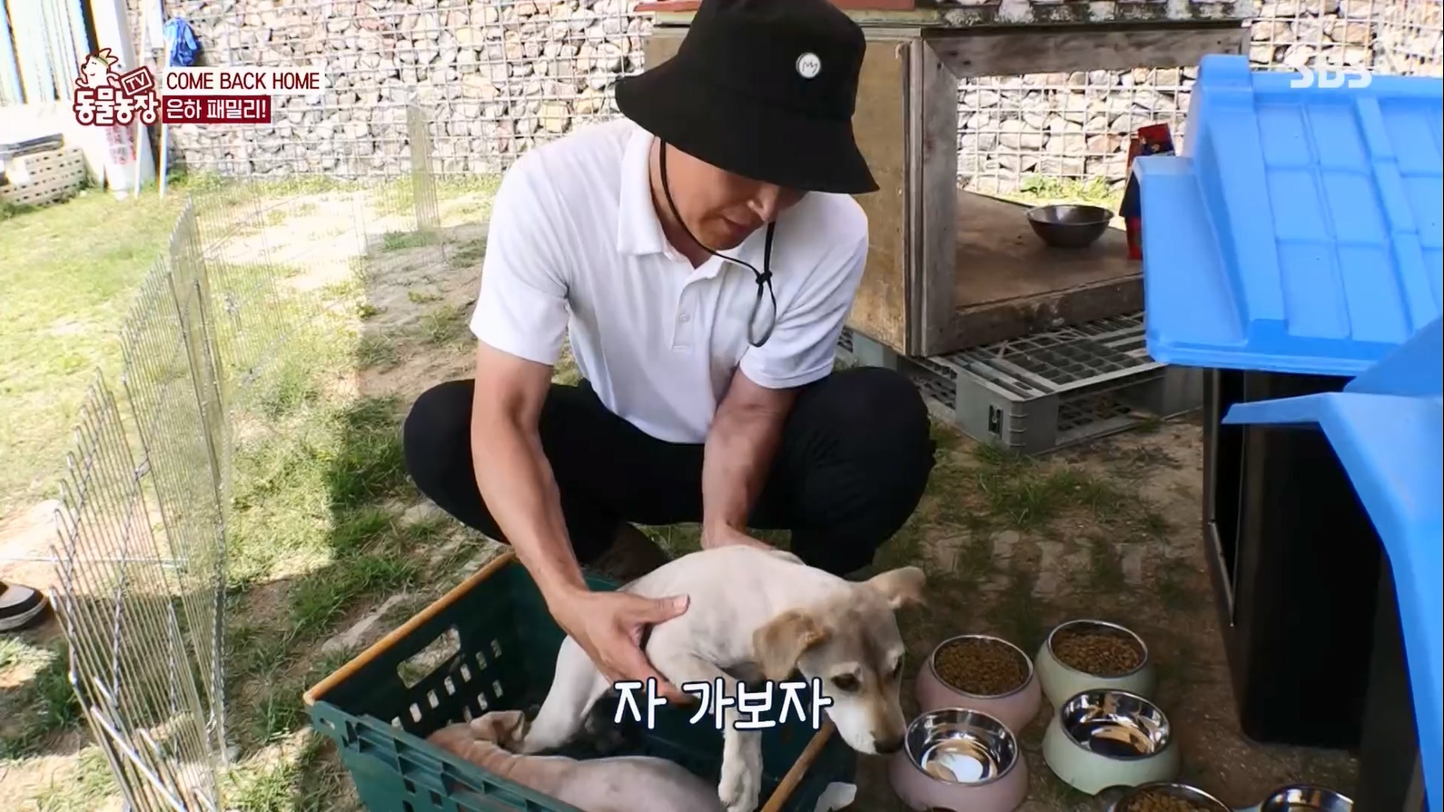 TV 동물농장.E1127.230702p.H264-F1RST.mp4_20230704_212713.536.jpg