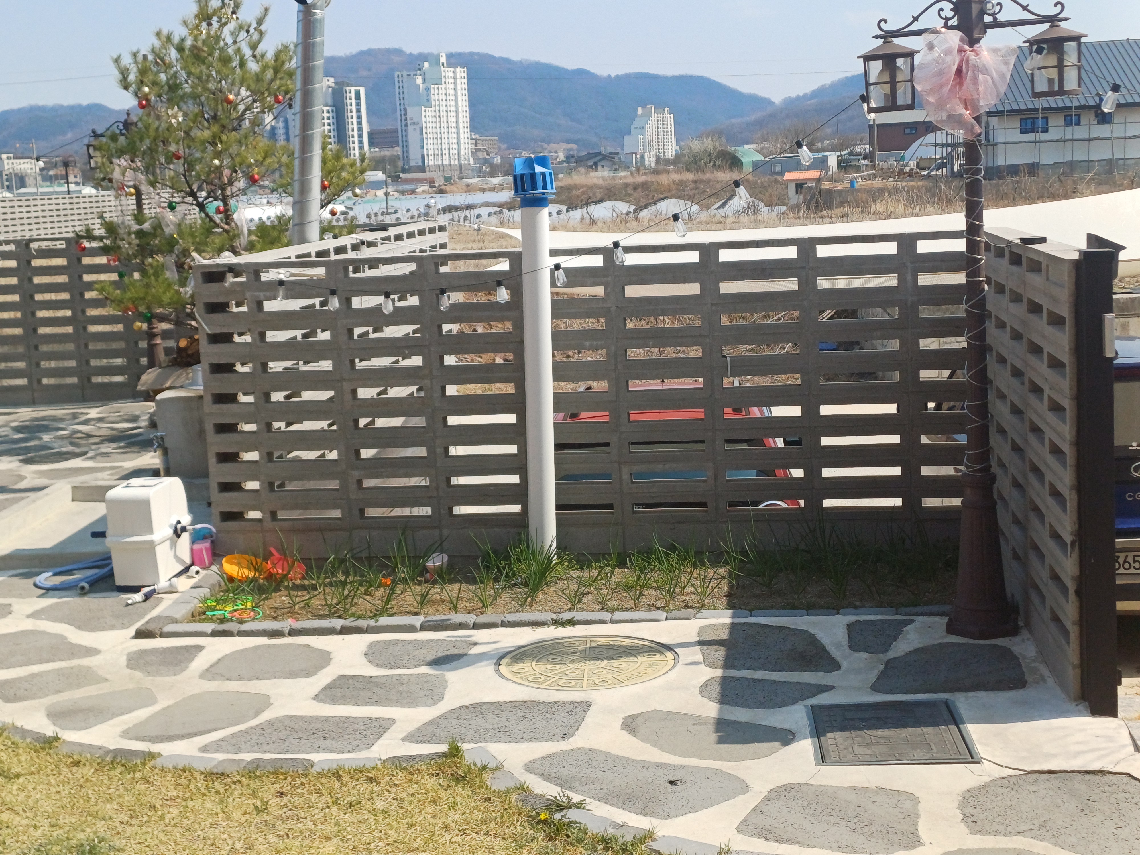 귀촌일상 - 쪽파가 심어져 있는 마당 한켠 미니텃밭