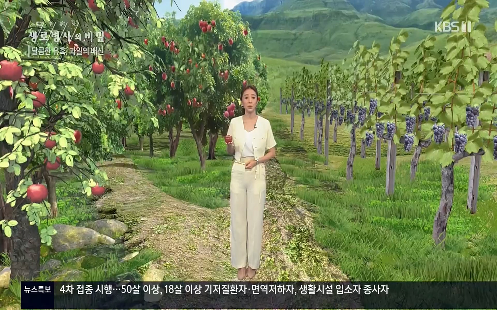 생로병사의 비밀.E829.220803p.H264-F1RST.mp4_20220804_204341.243.jpg