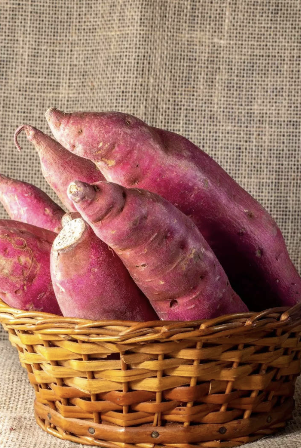 고구마의 건강 효능 3가지 좋은 점과 좋은 고구마 고르고 보관하는 방법 1