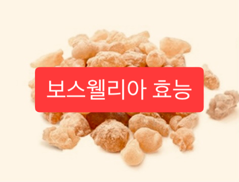  보스웰리아 효능 8가지