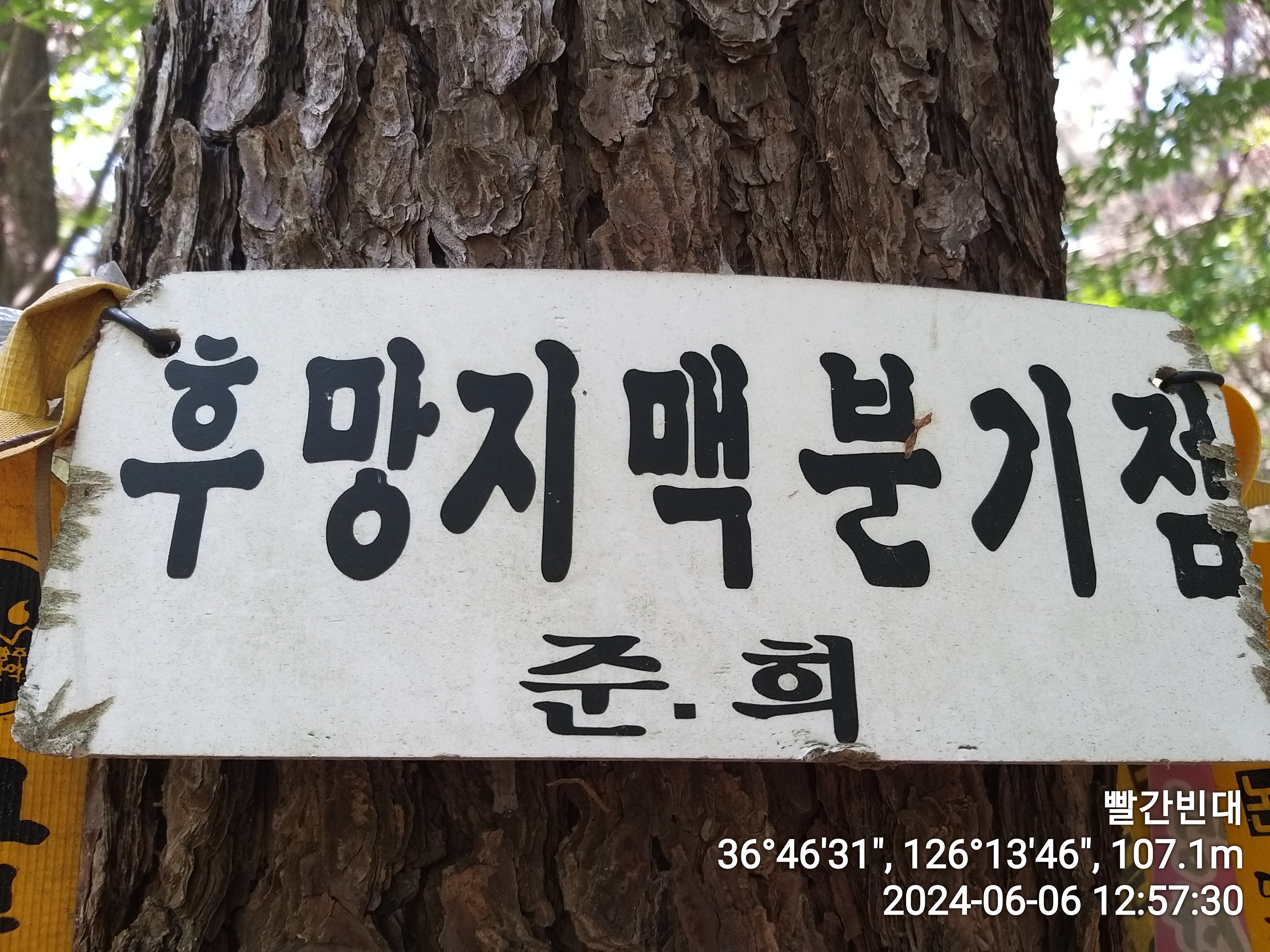 후망 이미지