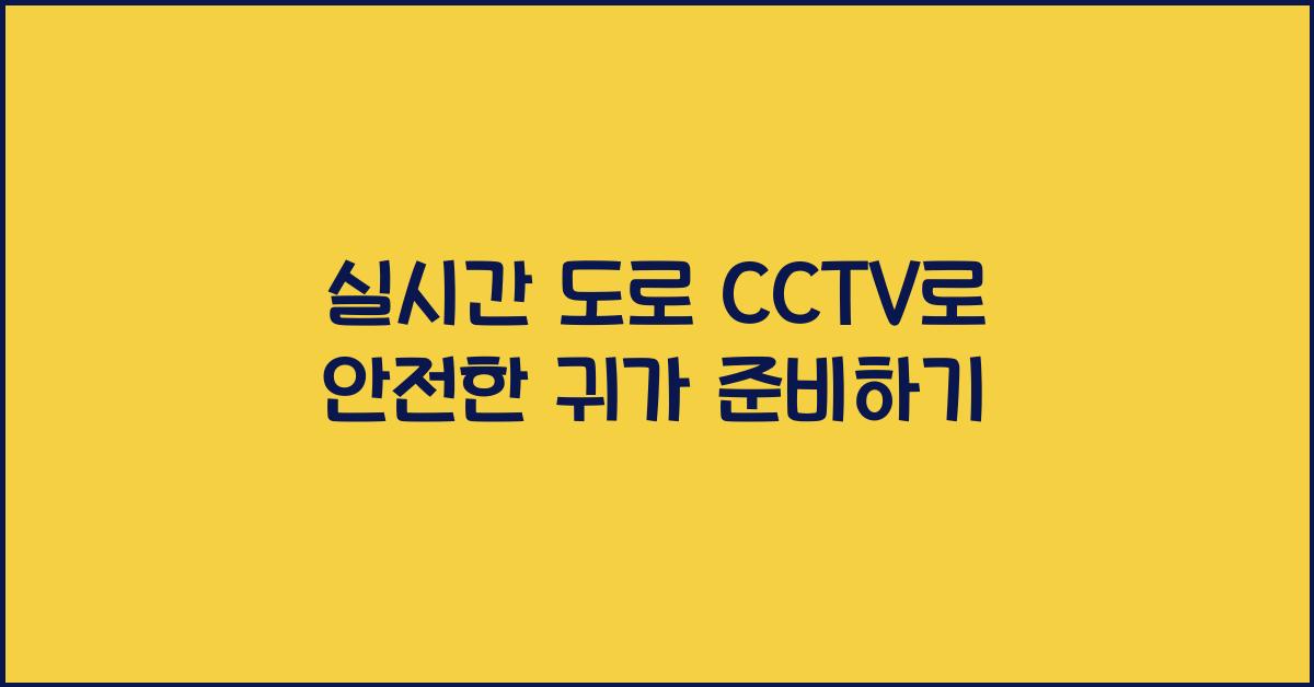 실시간 도로 cctv