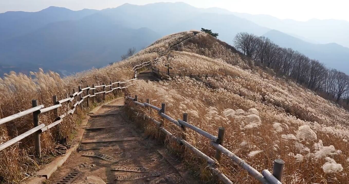 민둥산