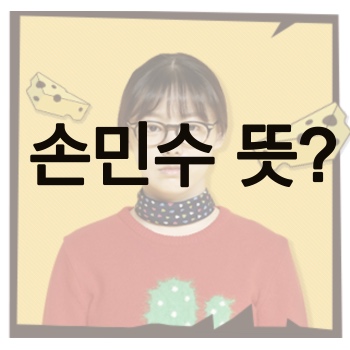  손민수 뜻 손민수 템