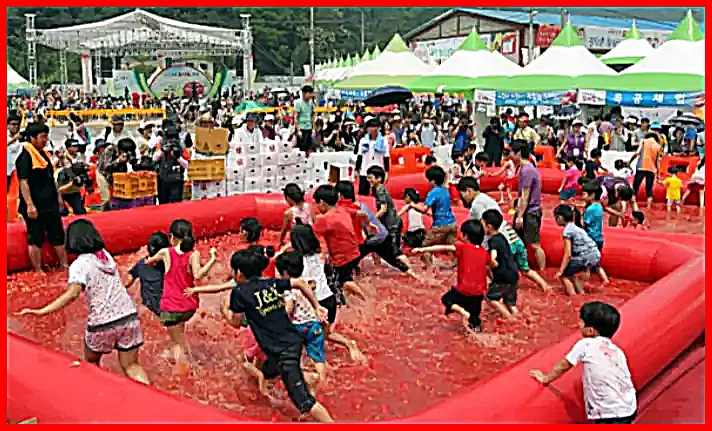 광주 토마토 축제