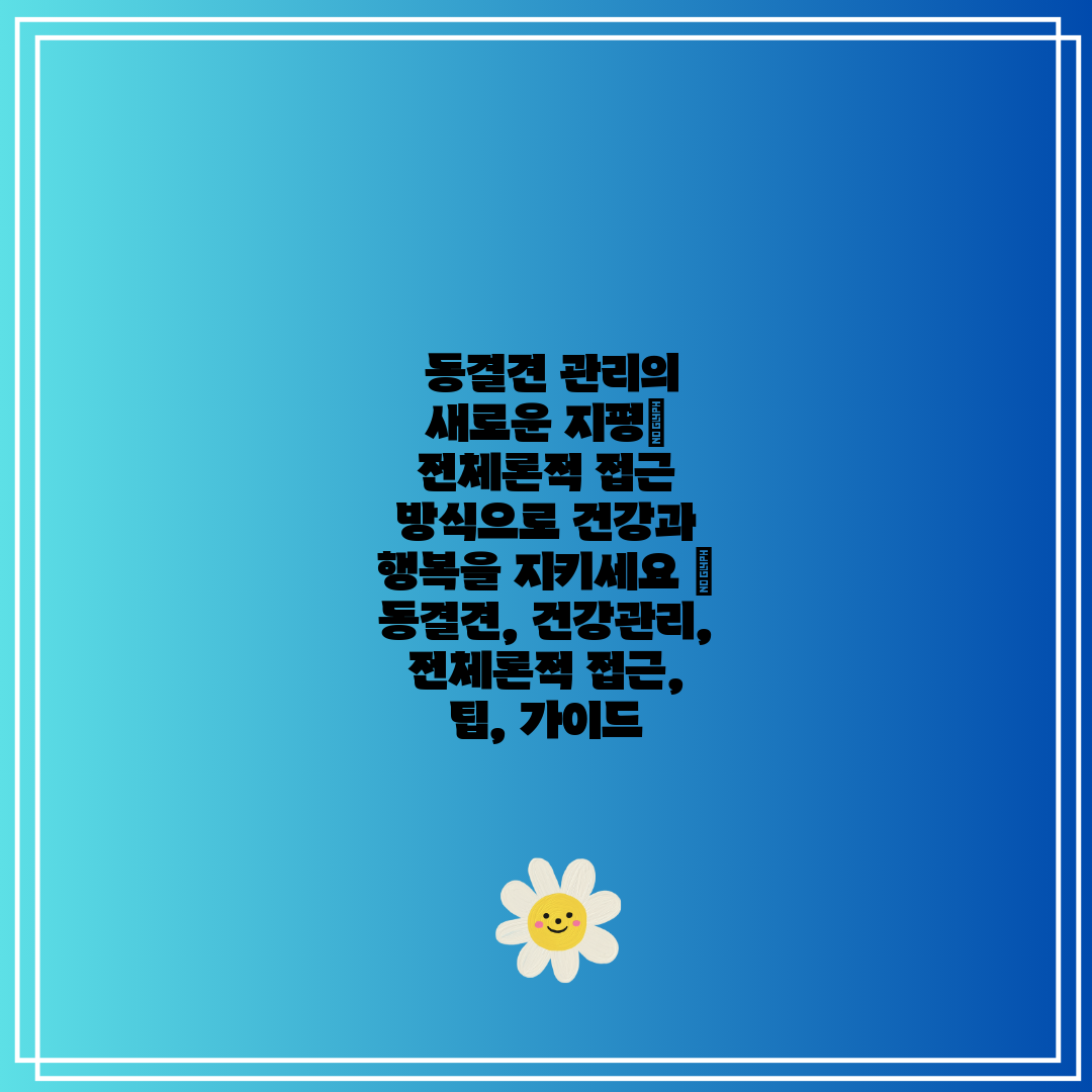 동결견 관리의 새로운 지평 전체론적 접근 방식으로 건