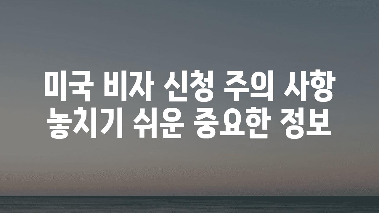 미국 비자 신청 주의 사항 놓치기 쉬운 중요한 정보