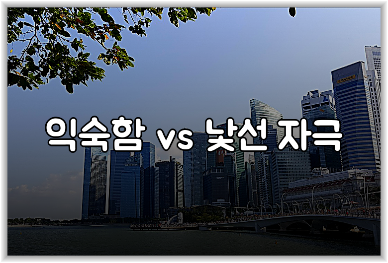 익숙함 vs 낯선 자극