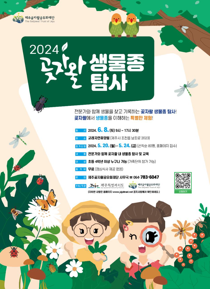 6월 제주도 가볼만한곳 BEST 축제 10곳