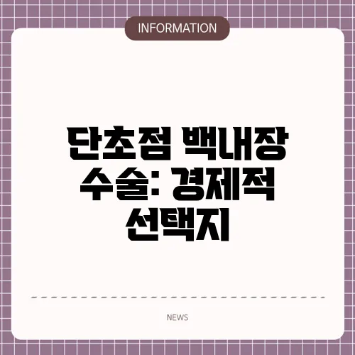 단초점 백내장 수술: 경제적 선택지