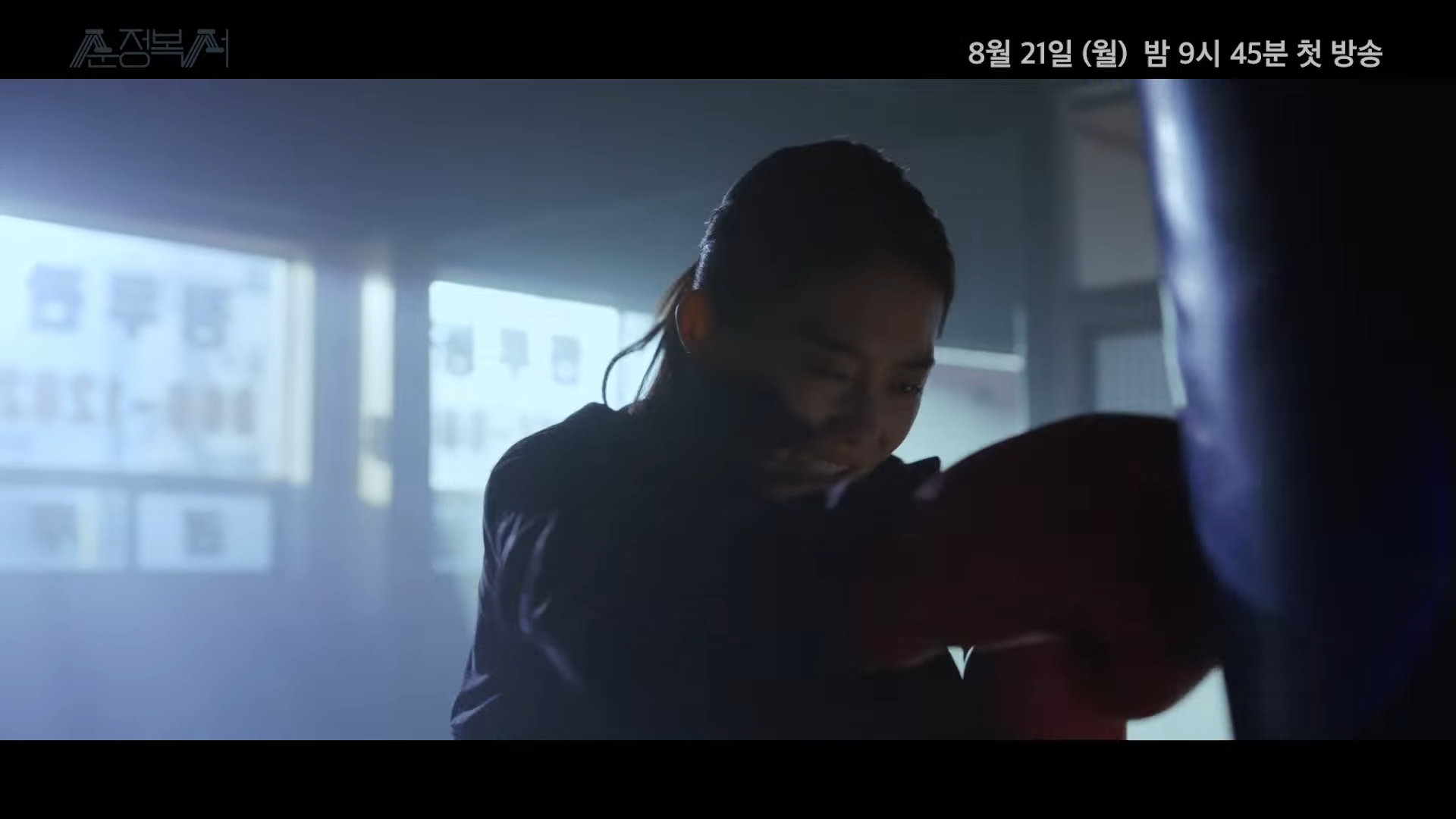 월화드라마 수목드라마 일일드라마