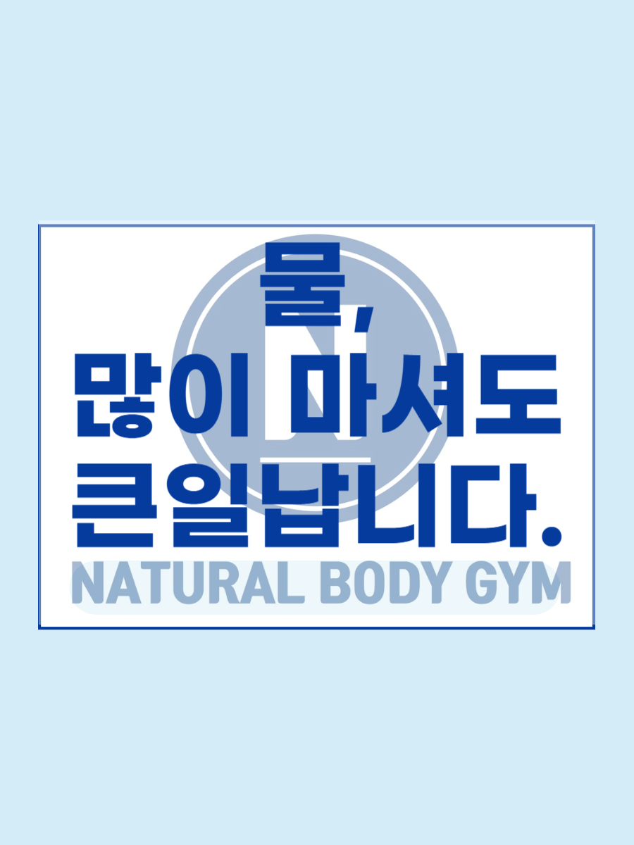 바디짐 이미지