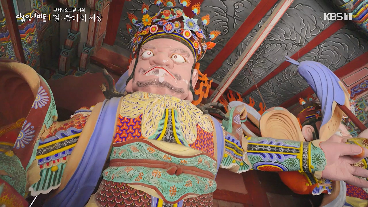 다큐 인사이트.E185.240517p-NEXT.mp4_20240517_202637.521.jpg