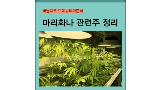 해리스 부통령 관련주