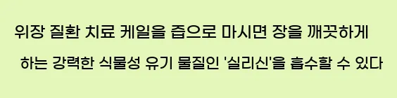  8) 위장 질환 치료 케일을 즙으로 마시면 장을 깨끗하게 하는 강력한 식물성 유기 물질인 '실리신'을 흡수할 수 있다.