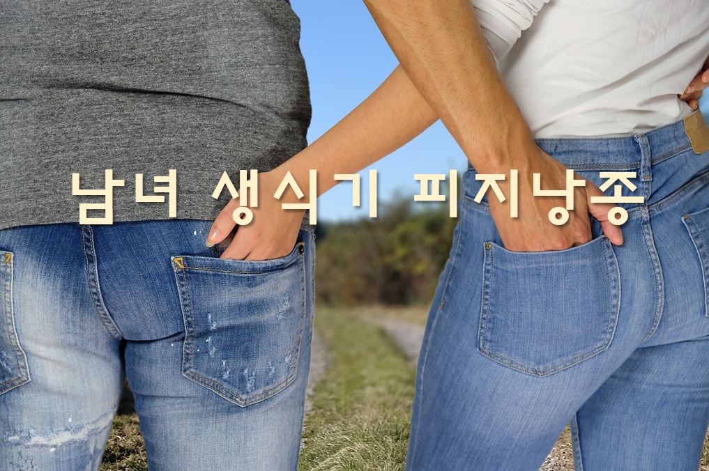  귀, 남자 여자 생식기 피지낭종 원인