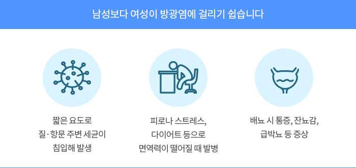 방광염 사진