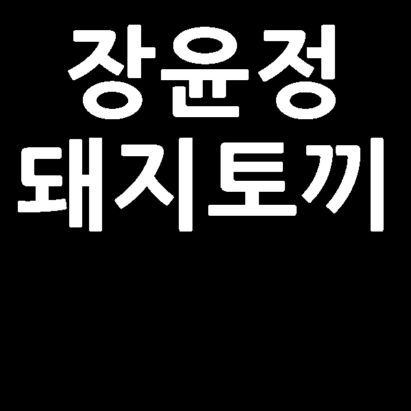  장윤정 돼지토끼
