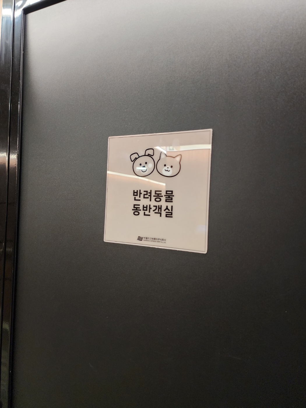퀸 제누비아호 탑승기 – 목포에서 제주까지 즐기는 럭셔리 카페리 여행