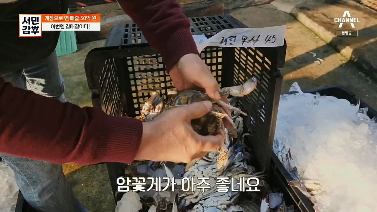 서민갑부.E411.221127p.H264-F1RST.mp4_20221127_173722.586.jpg