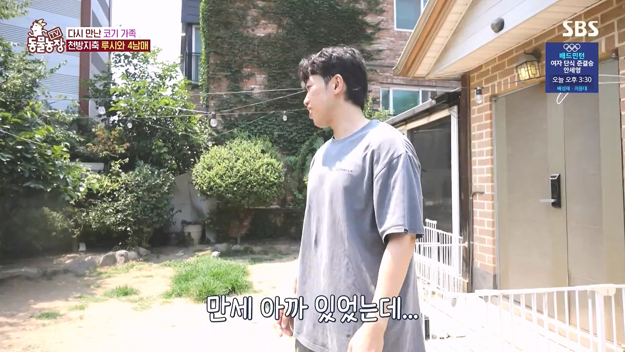 TV 동물농장.E1183.240805p-NEXT.mp4_20240804_154931.594.jpg