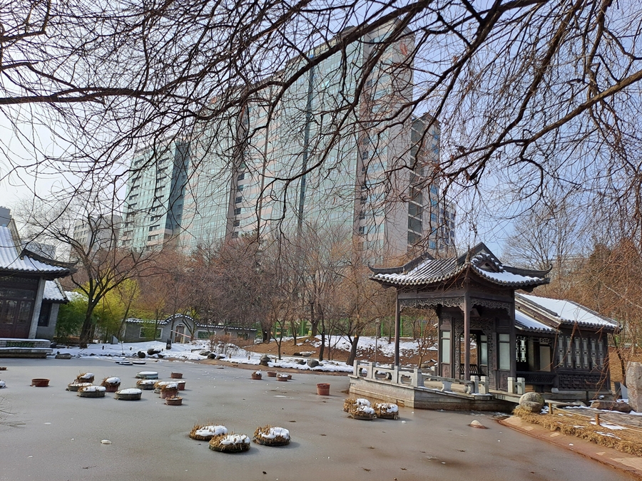 후원에있는-연못-02