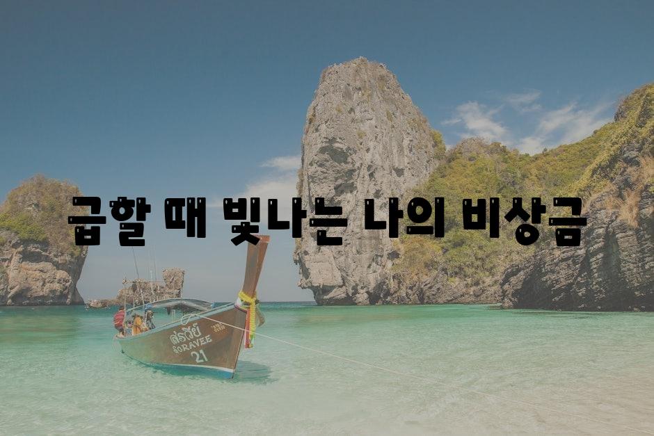 급할 때 빛나는 나의 비상금.