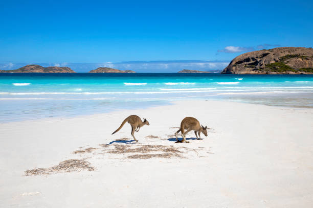  10 Beaches You Must Visit Around the World