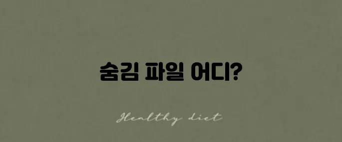 숨김 파일 보기 설정, 간단한 사용법의 모든 것입니다!