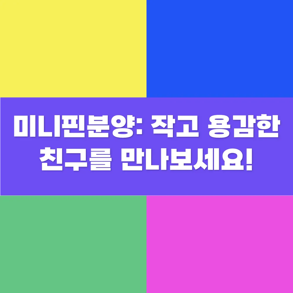 썸네일 이미지