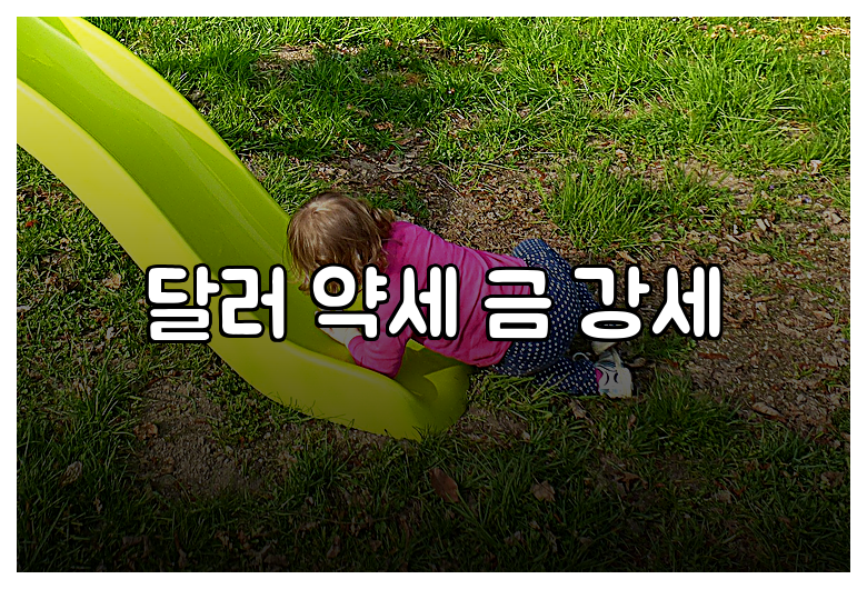 달러 약세 금 강세