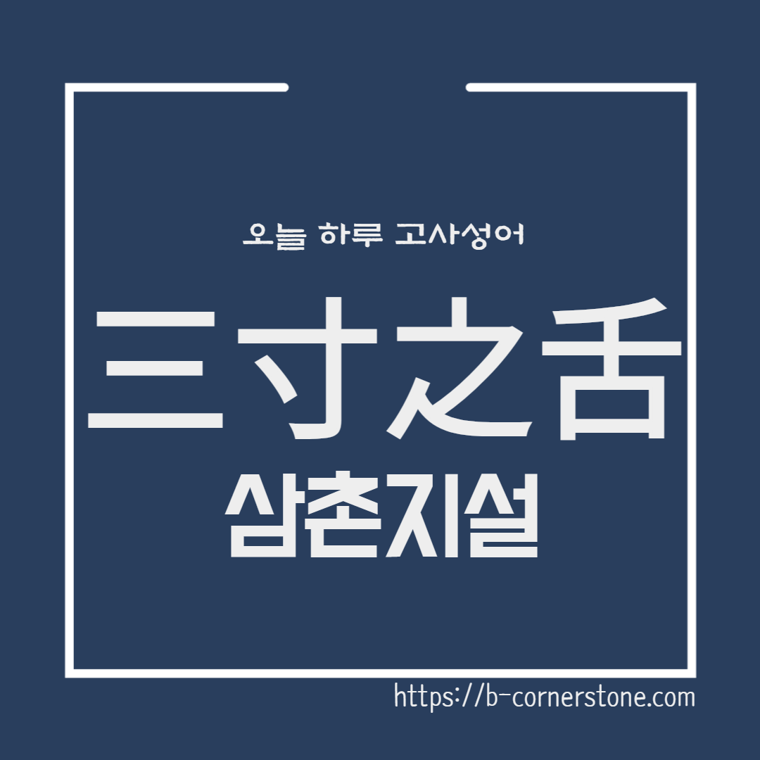 고사성어 삼촌지설 三寸之舌 조나라 초나라 모수