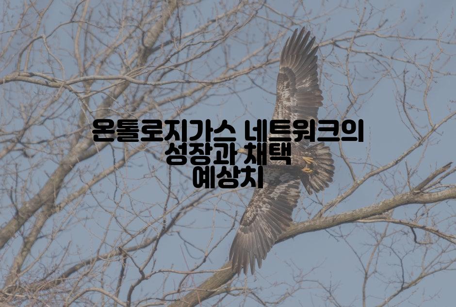 온톨로지가스 네트워크의 성장과 채택 예상치