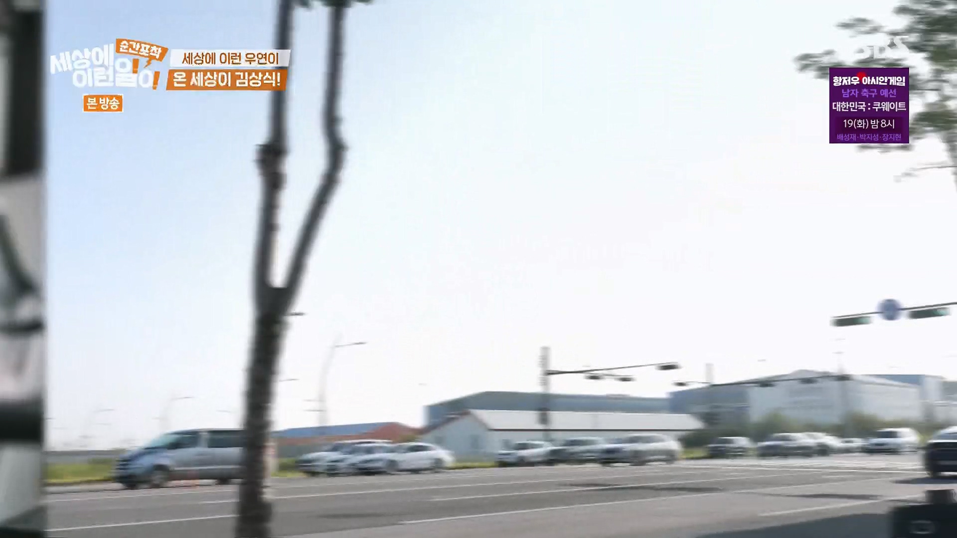 순간포착 세상에 이런일이.E1246.230916p.H264-F1RST.mp4_20230917_165810.674.jpg