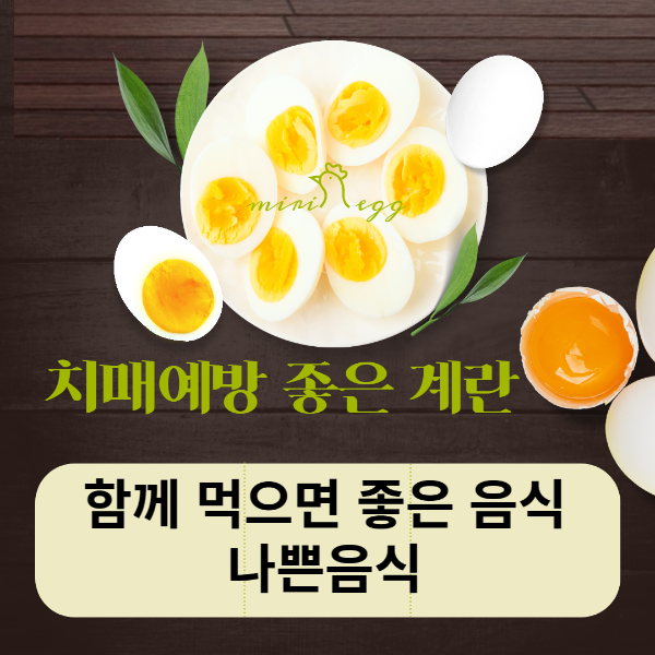 치매예방에-좋은-계란