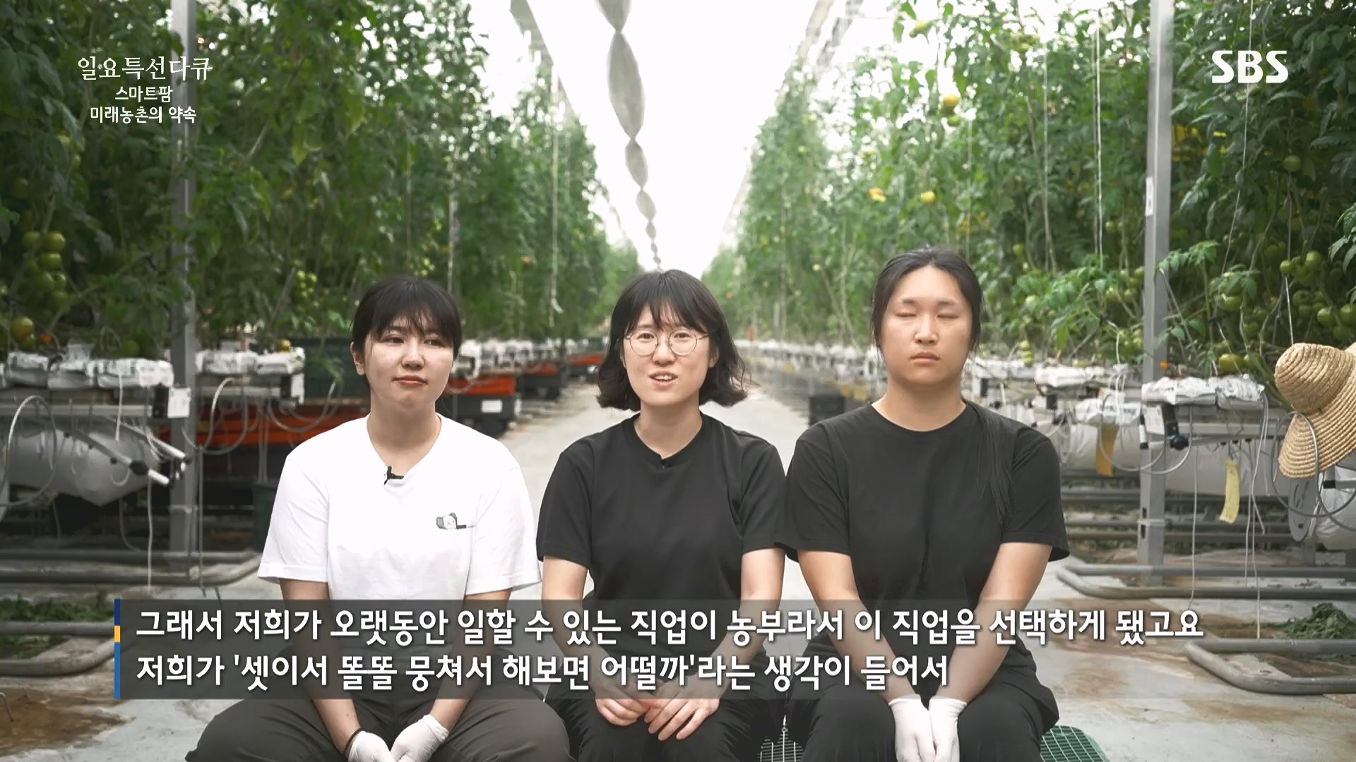 일요 특선 다큐멘터리.E348.240804p.H264-F1RST.mp4_20240805_201500.340.jpg